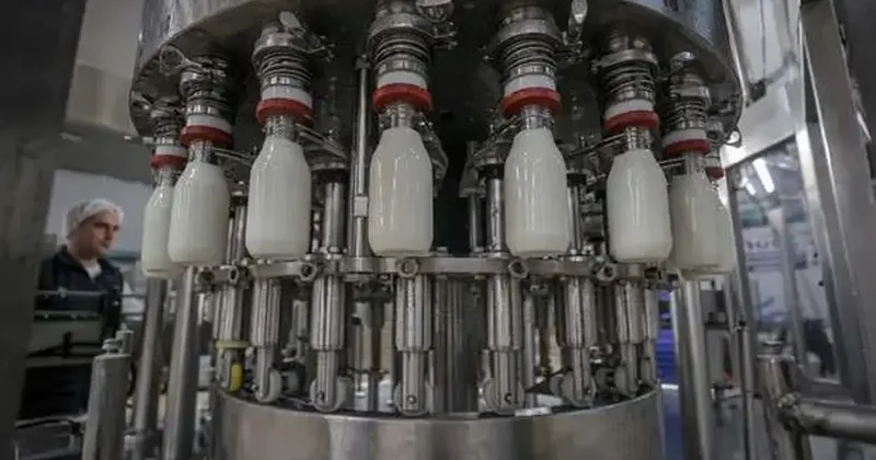 56 süt şirketine soruşturma! Ünlü markalar listede
