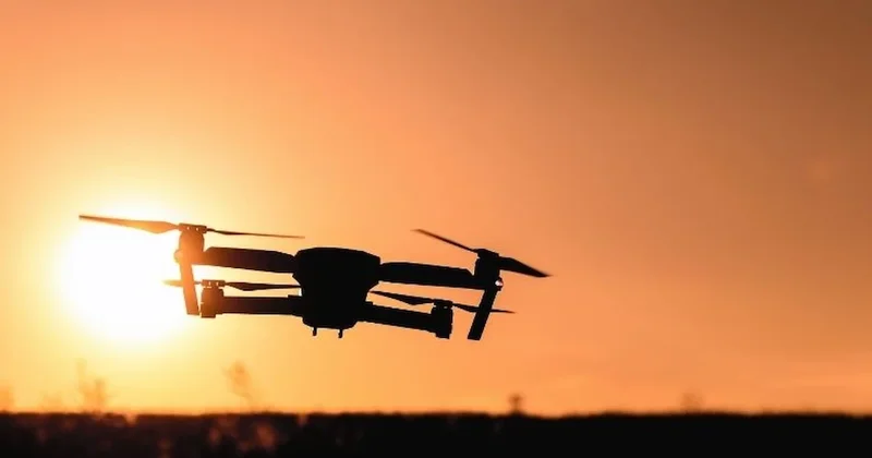 Kaybolan büyükbaş hayvanları jandarma dronla buldu Sözcü Gazetesi