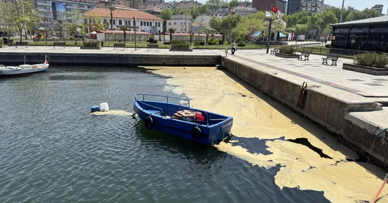 Kabus, Marmara Denizi nde yeniden görüldü!