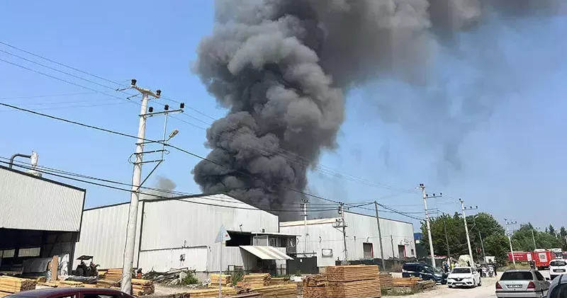 Kocaeli de boya ve metal kaplama tesisinde yangın