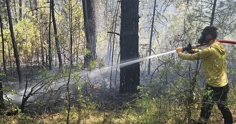 Bolu da örtü yangını