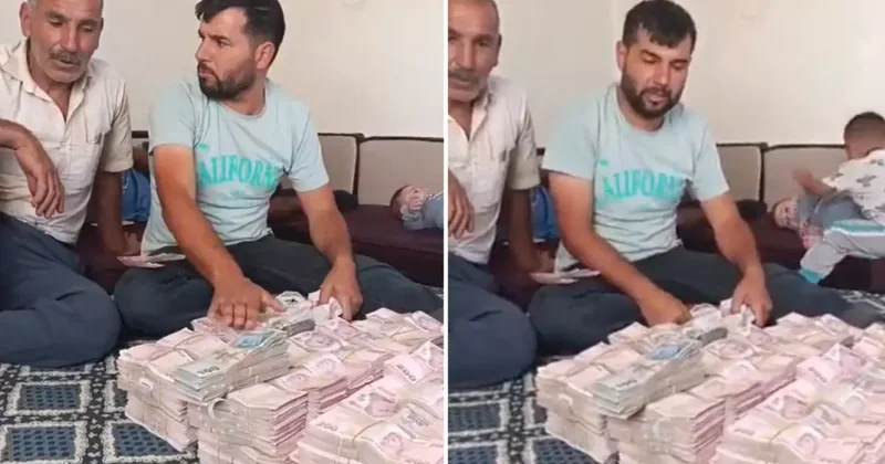 350 tane kurbanlık satan çiftçi, önüne deste deste para koyup isyan etti