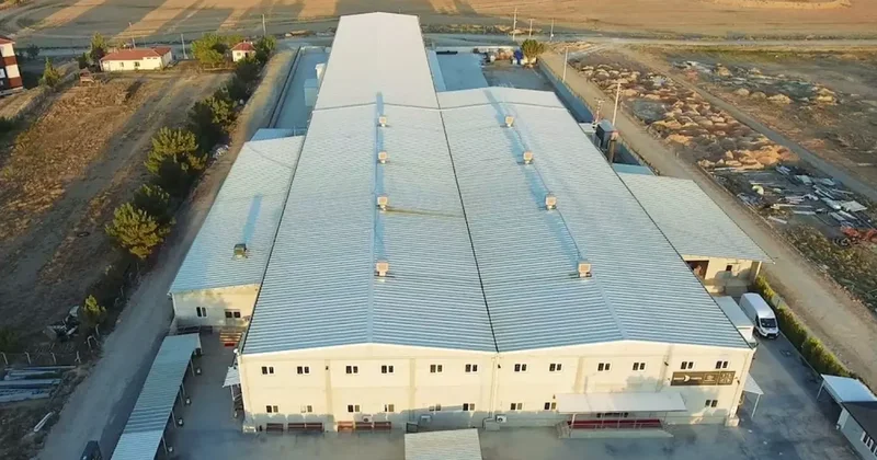Baltalı Grup, İki Üretim Tesisini Kapatma Kararı Aldı
