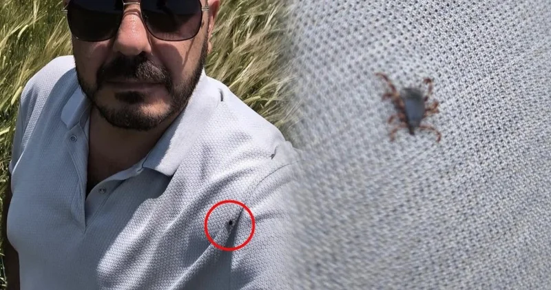 Üzerinden 25 keneyi temizledi! Fotoğraf çekerken fark etti