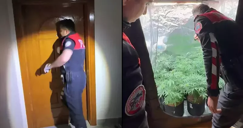 Sarıyer de uyuşturucu serasına çevrilen eve baskın: Polis kapıyı kırarak açtı