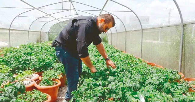 2116 çeşit bitki ıslah edildi Ekonomi Haberleri