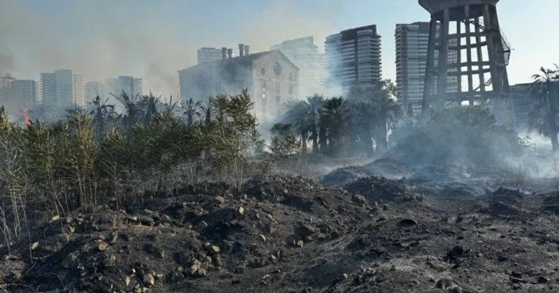 Boş arazide çıkan yangın ev ve iş yerlerine sıçradı Sözcü Gazetesi
