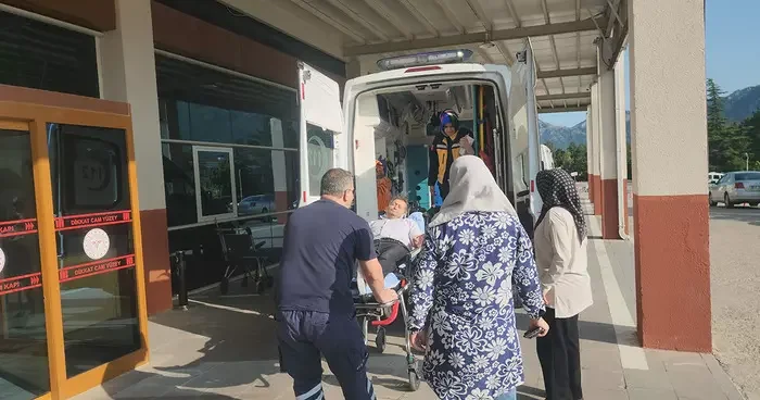 Yer: Konya! Pikniğe gitti, yılan ısırdı