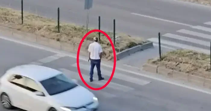 Bartın da bir garip olay! Yaptığına kimse anlam veremedi... Yaya geçidinden defalarca geçti, yol ortasında durdu