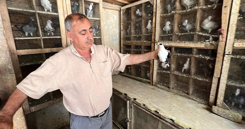 Depremde 170 güvercini telef oldu, kuş sevdası geçmedi