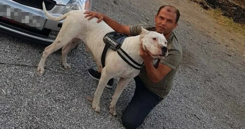 Oğlunu öldürdü! 1 yıllık tartışma vahşetle sonuçlandı! Son dakika haberleri