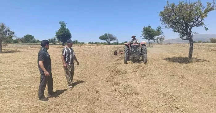 Beyşehir’de hibe destekli ekilen yem bitkilerinde hasat sürüyor