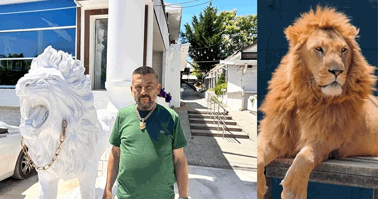 1 kişi yaralanmıştı... Aslanın sahibi konuştu: Saldırdığı kişide iyi ki battaniye varmış