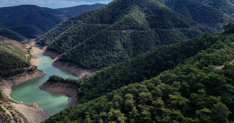 Türkiye nin orman varlığı yarım asırda 3,2 milyon hektar büyüdü