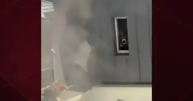 Fransa da kahraman bakıcı alevlerin arasından 4 bebeği işte böyle kurtardı
