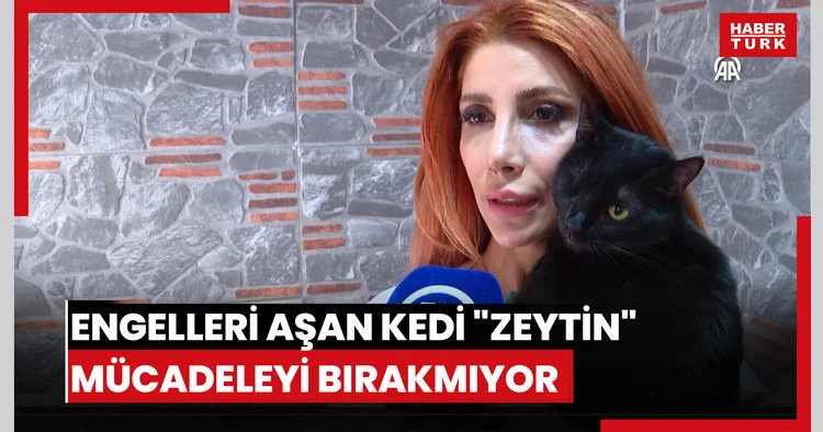 Engelleri aşan kedi Zeytin mücadeleyi bırakmıyor