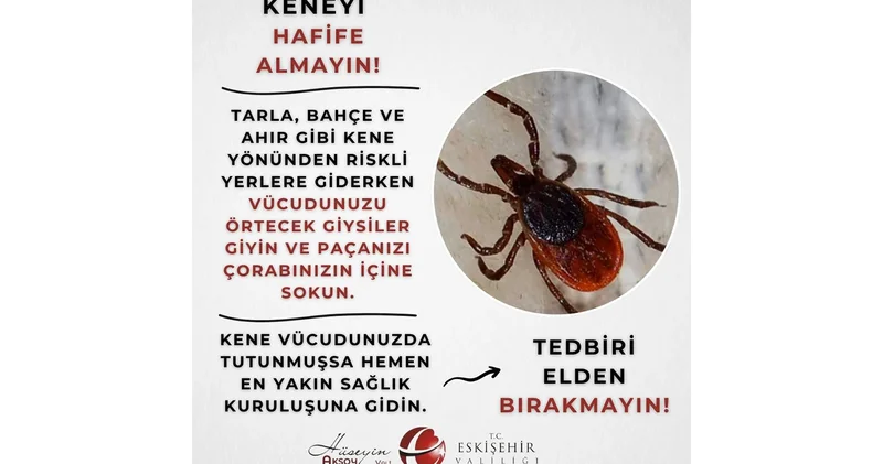 Eskişehir Valiliği nden kene uyarısı