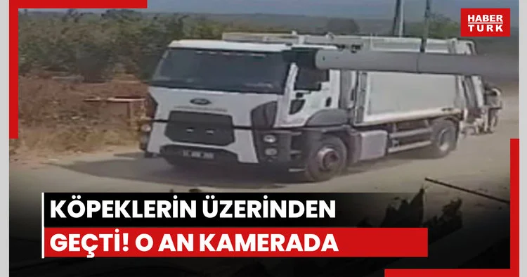 Köpeklerin üzerinden geçti!