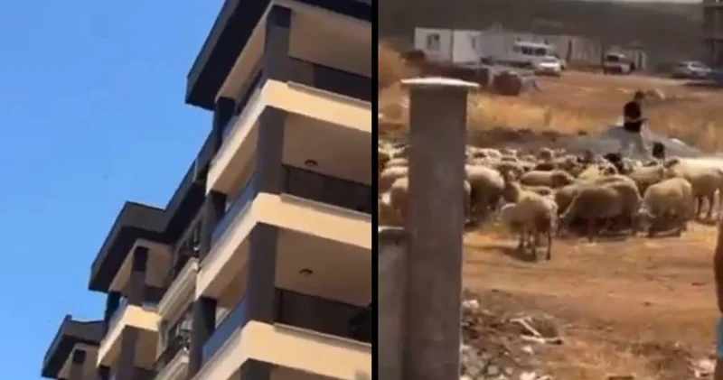 Çanakkale yangınında hayvanlarıyla kaçan vatandaş siteye alınmadı