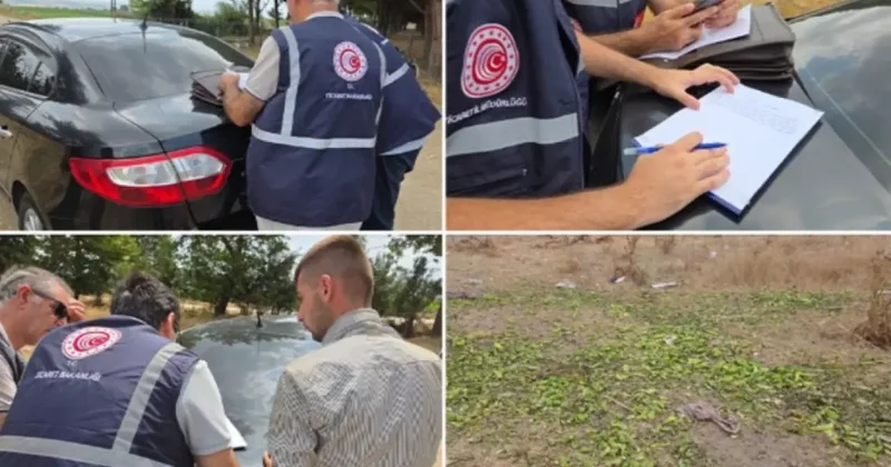 Hayvanlarıma yem olarak verdim dedi, cezadan kurtulamadı!
