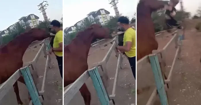 At babasının kucağındaki çocuğu ısırarak alıp havaya fırlattı! Korkunç dakikalar kameralara yansıdı