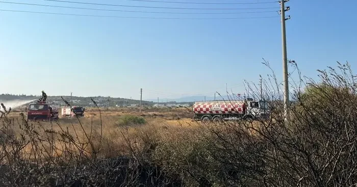 Balıkesir in Gömeç ilçesinde çıkan orman yangını kontrol altında
