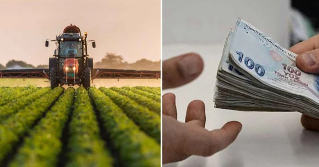 Çiftçilere bugün 116,3 milyon lira tarımsal destekleme ödemesi yapılacak Ekonomi Haberleri