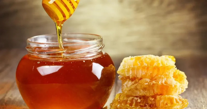 TAB maliyetleri açıkladı: 1 KG balın maliyeti üreticiye 325 TL!