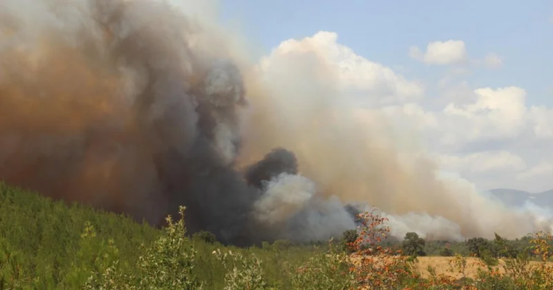 Çanakkale nin Bayramiç ilçesinde orman yangını: 3 köy boşaltıldı