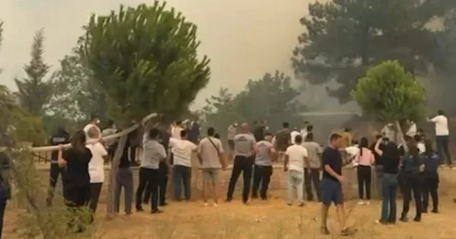 Çanakkale de ormana sıçrayan yangına karşı vatandaşlar seferber oldu VİDEO İZLE