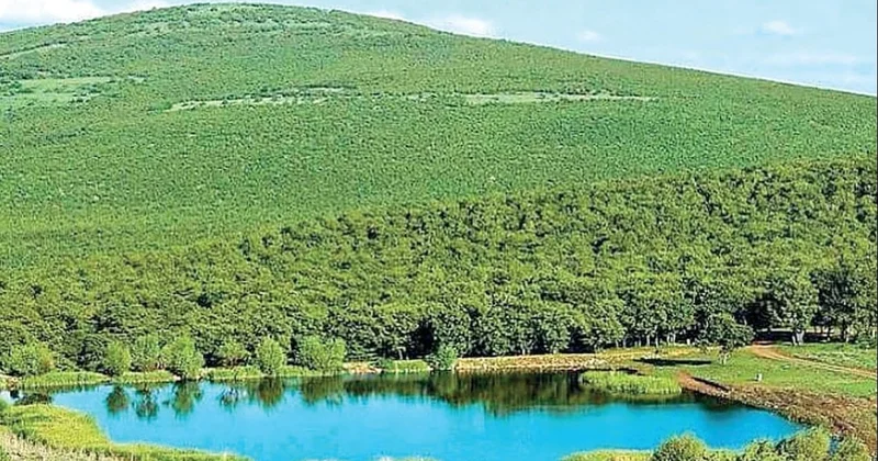 Meşe ormanlarına maden ocağı ruhsatı Sözcü Gazetesi