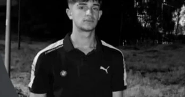 Bingöl de girdiği baraj gölünde boğuldu Bingöl Haberleri