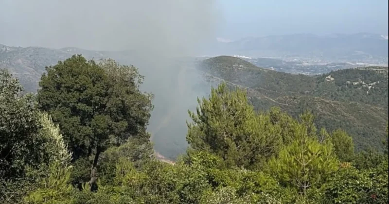 Hatay Samandağ da ormanlık alanda yangın Sözcü Gazetesi