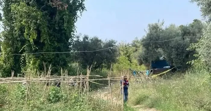 Bahçesini domuzlardan korumak için evden çıkan çiftçi tarlasında ölü bulundu