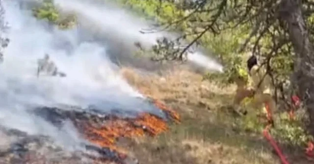Bolu da orman yangını: Ekiplerden anında müdahale VİDEO İZLE