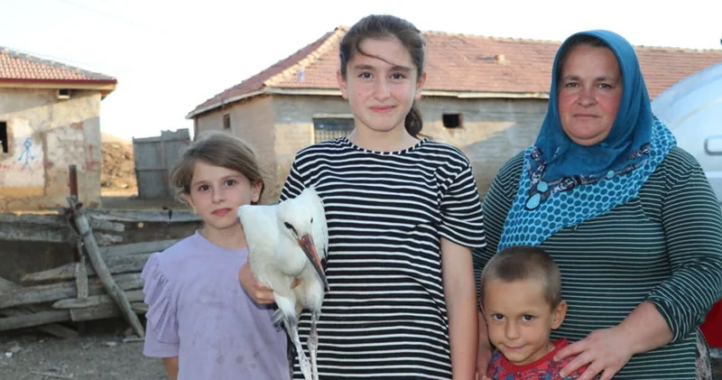 Yaralı leylek Su ya Yozgatlı aile sahip çıktı