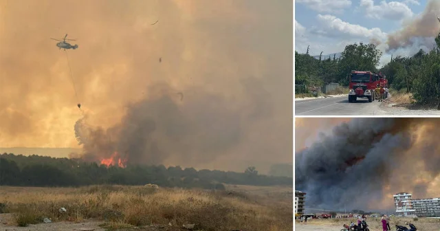 Çanakkale de orman yangını: Havadan ve karadan müdahale sürüyor Çanakkale Haberleri