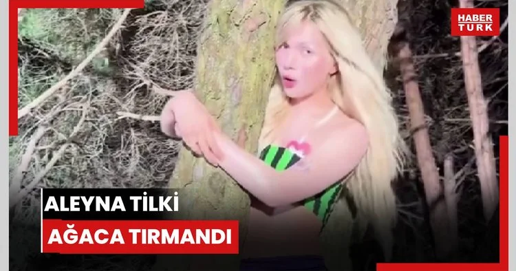 Aleyna Tilki ağaca tırmandı
