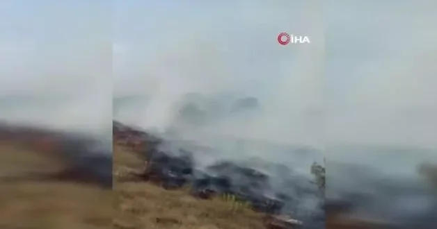 Bolu Göynük’te orman yangını: Müdahale havadan ve karadan sürüyor