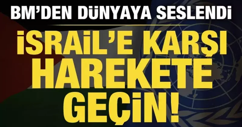 Filistin in BM Temsilcisinden çağrı: İsrail e karşı harekete geçin!