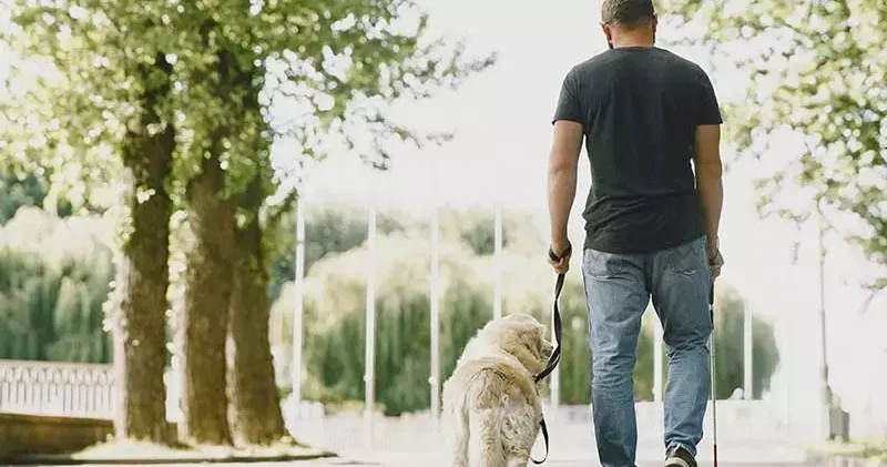 Görme engelli bireyi rehber köpekle sosyal tesise almayan belediyeye para cezası