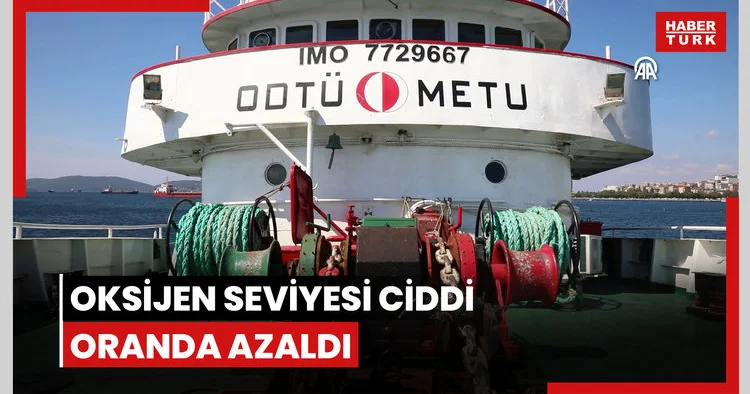 Mersin ve İskenderun körfezlerinde oksijen seviyesi ciddi oranda azaldı