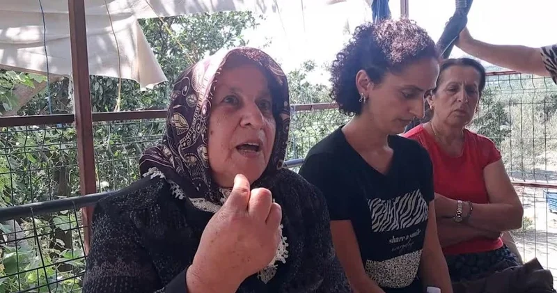 Hatay da kamulaştırma gerilimi: Yargı süreci beklenmeden ağaçlar söküldü