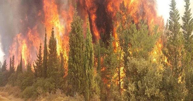 Çanakkale de orman yangınlarına karşı yeni tedbirler alındı Çanakkale Haberleri