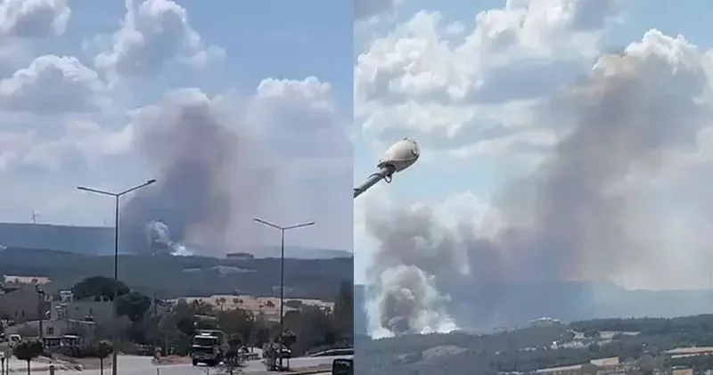 Çanakkale’de orman yangını
