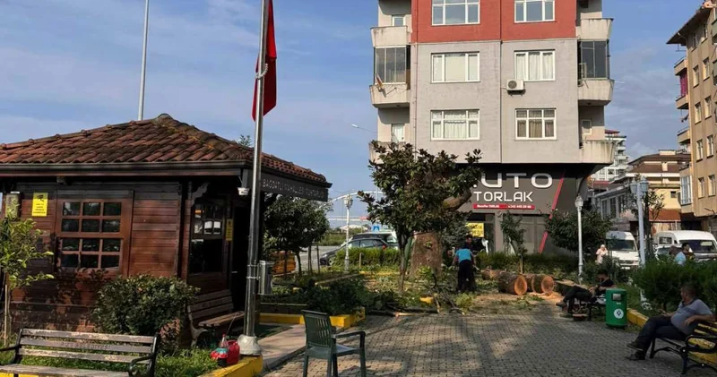 100 yaşındaydı: Kanserli diye acımadan kestiler
