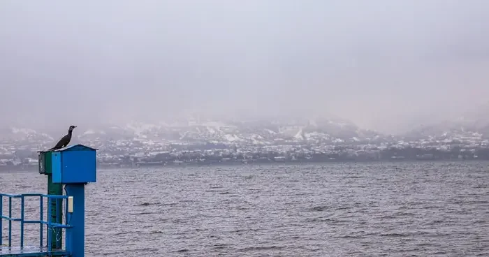 Sapanca da göl seviyesi yağışlarla yükselişe geçti