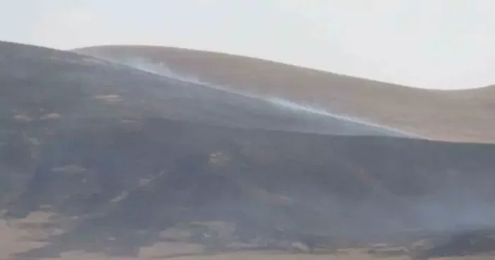 Kars’ta anız yangını