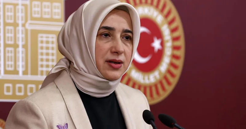 Aşdod Limanı na 3 milletvekili için uçak gönderildi