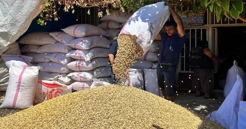 Şanlıurfa da kriz büyüyor: 2 bin liraya kadar alıcı buluyor